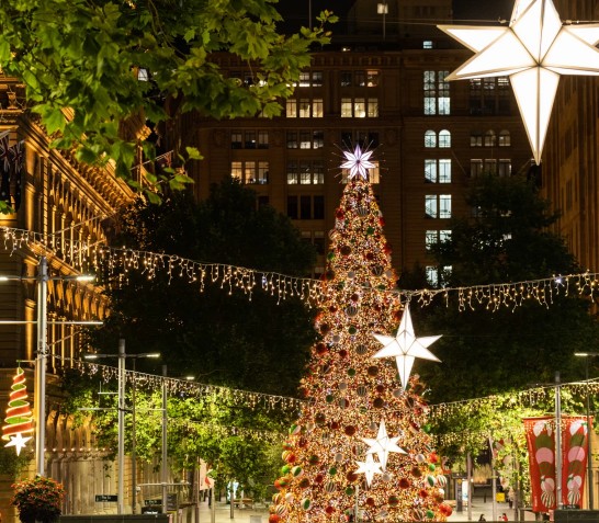 Sydney Christmas in the City 17