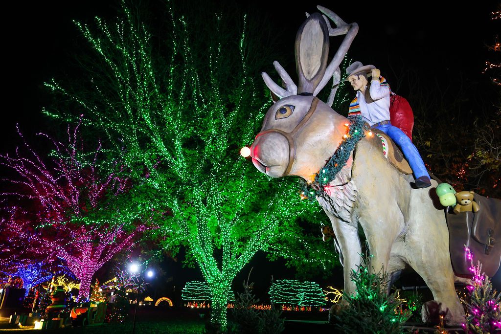 Austin Trail of Lights 18