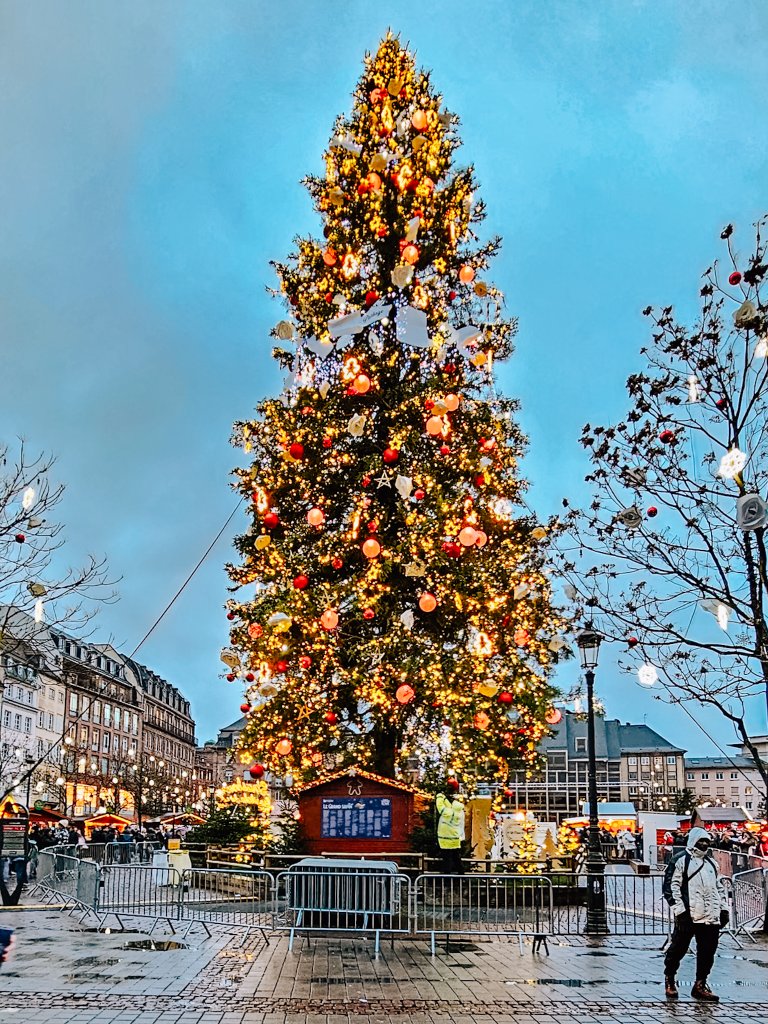 Strasbourg Christmas Market 20