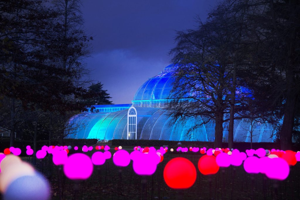 Kew Gardens Christmas at Kew 11