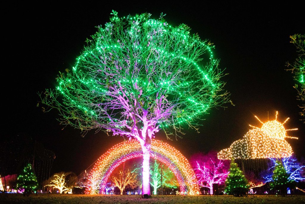 Austin Trail of Lights 19
