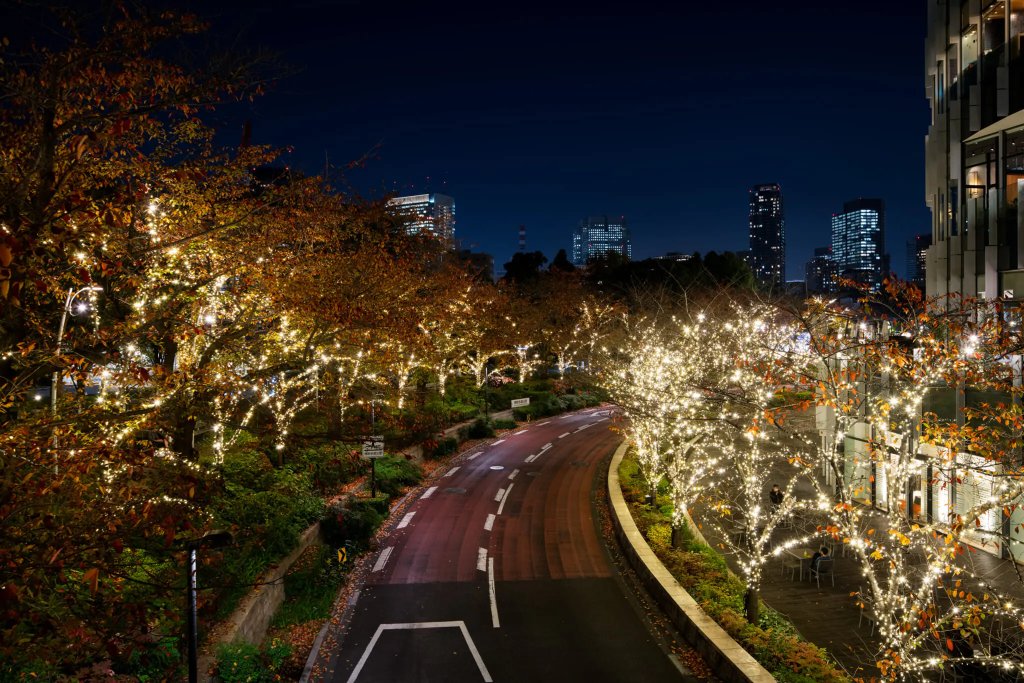 Tokyo Midtown Starlight Garden 5
