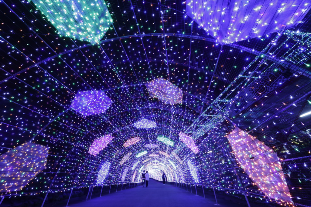 Tokyo Midtown Starlight Garden 3