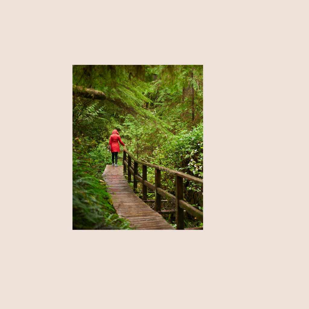 Individual Therapy Navigation