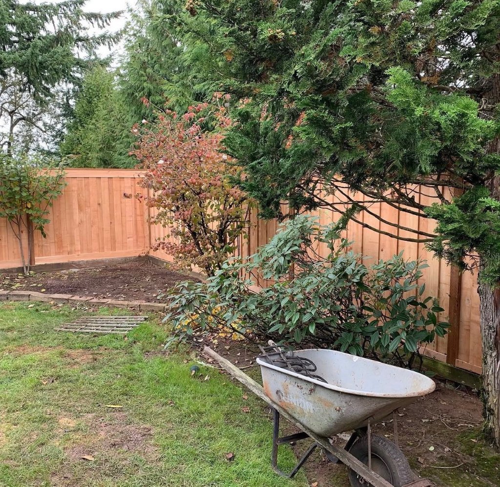 Fencing - Cedar Fence Garden Path