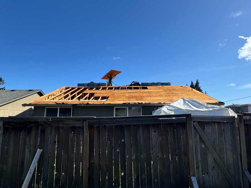 Roofing - Plywood Sheathing Replace