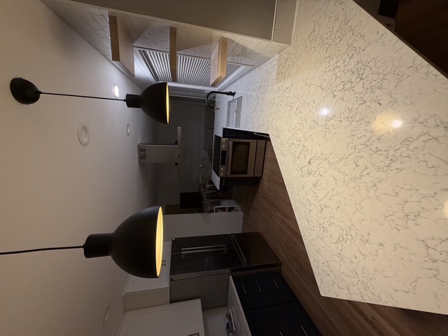 Kitchen Remodel - Dark Cabinets Pendant Lights
