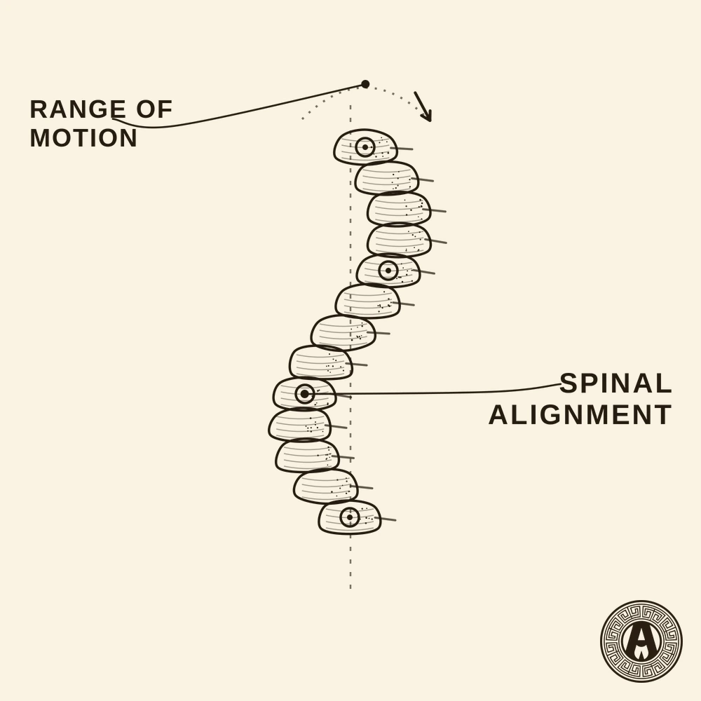 Full body clinical assessment at Achilles Clinic: spinal alignment and range of motion, anatomical engraving