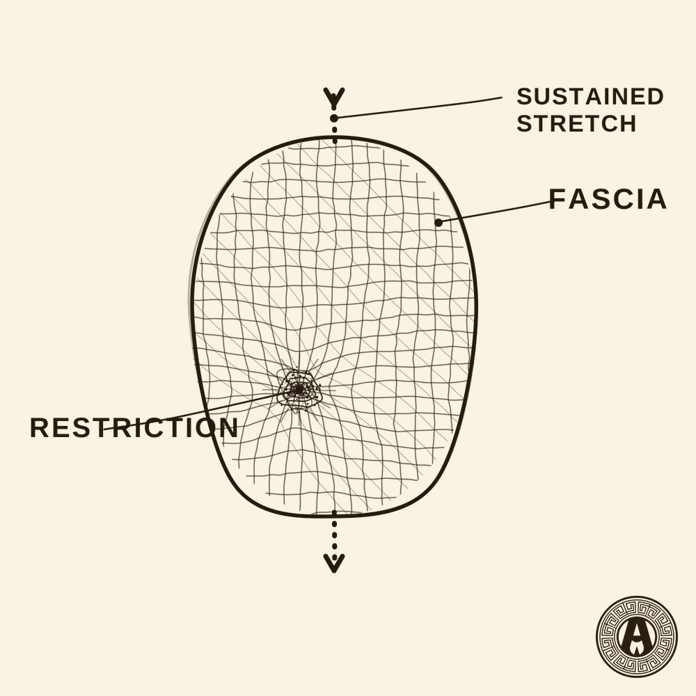 Myofascial Release