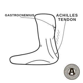 Achilles Tendinopathy explained: Achilles tendon and gastrocnemius, foot in profile | Achilles Clinic condition guide