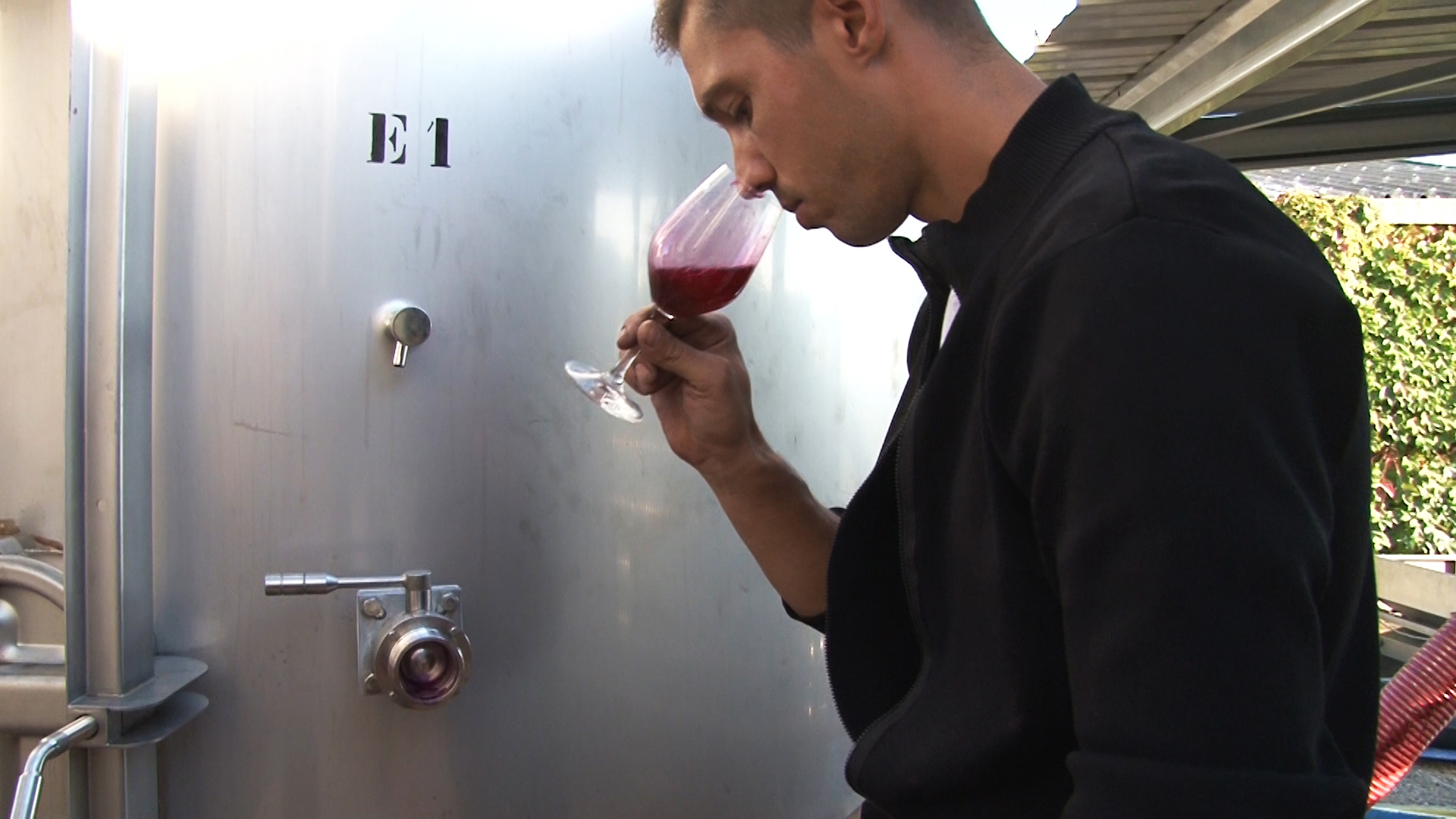 Camille, maître de chai, dégustant le vin devant une cuve inox