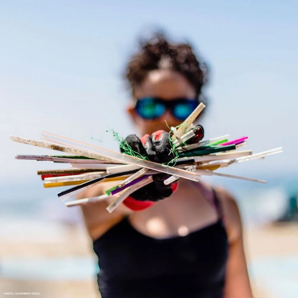 Surfrider Foundation beach cleanup volunteer