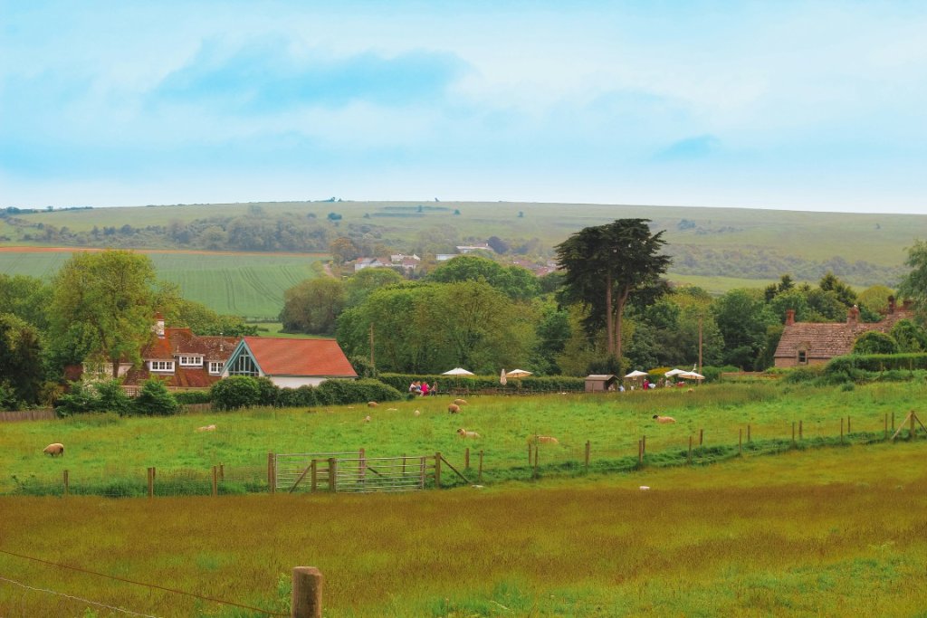 Growing Farms
