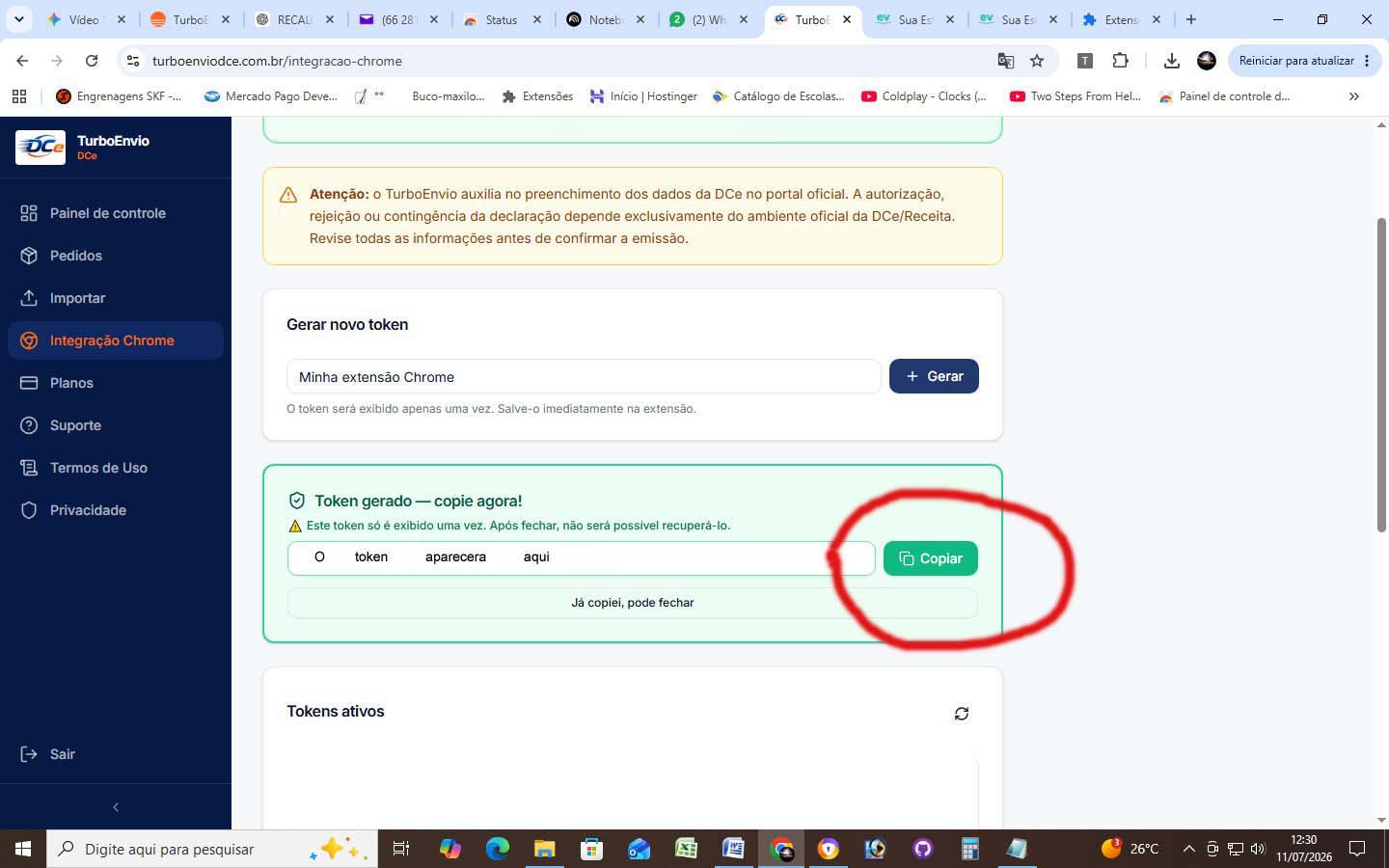 Token de integração gerado no painel do TurboEnvio com botão para copiar
