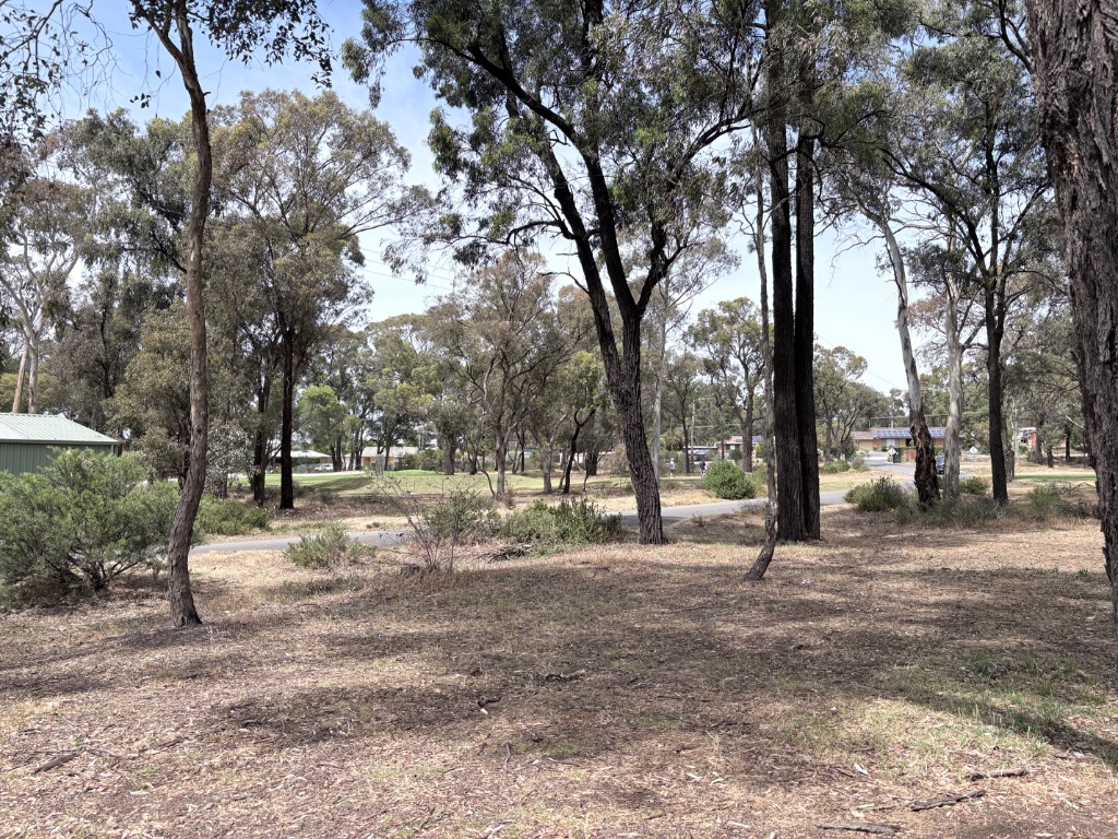 View of the natural bushland at the Neangar Park course