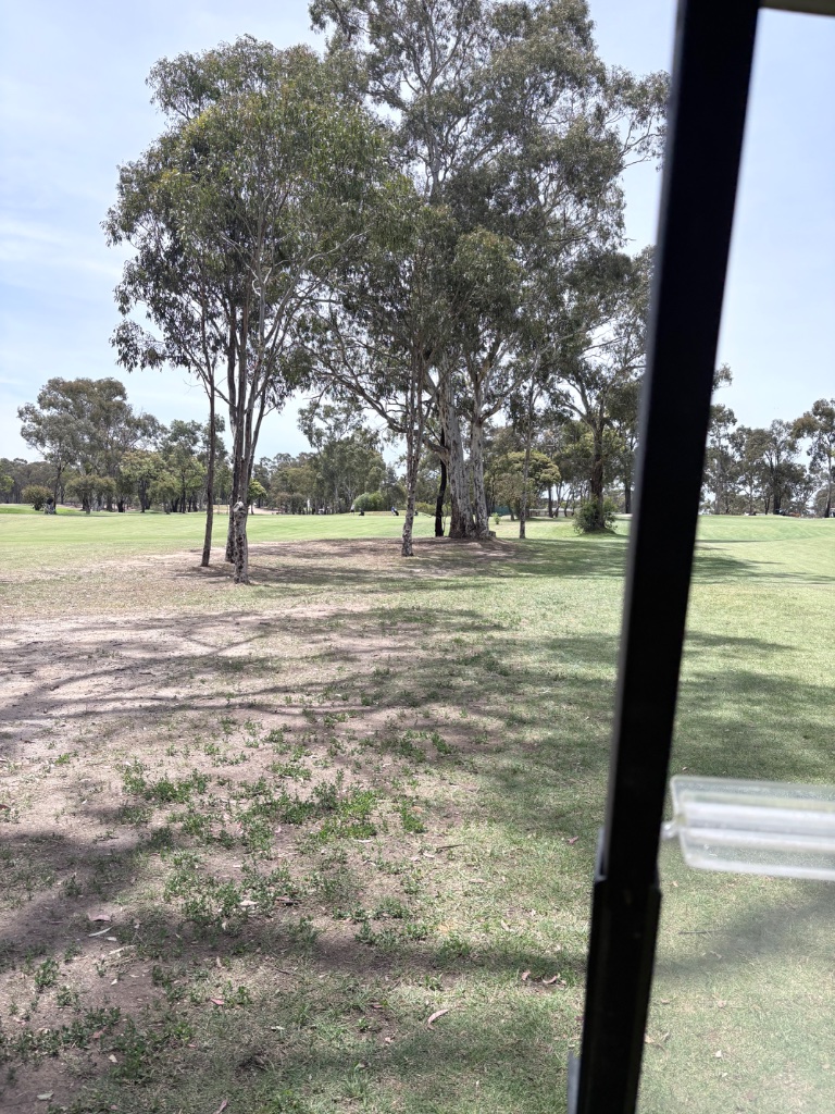 The Green - Approach Shot