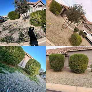 Bush and shrub trimming