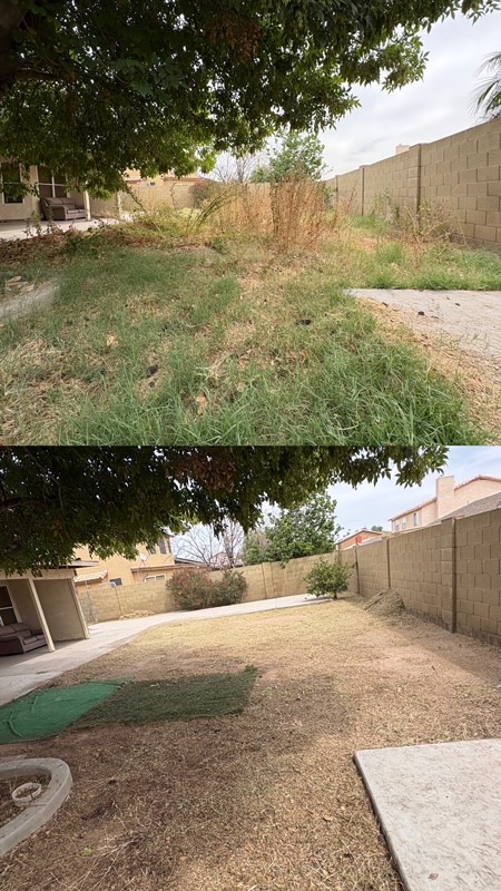 Overgrown weed clearing