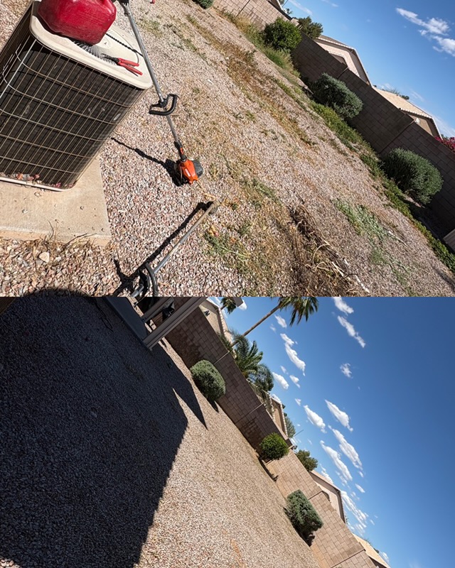 Weed removal and yard cleanup