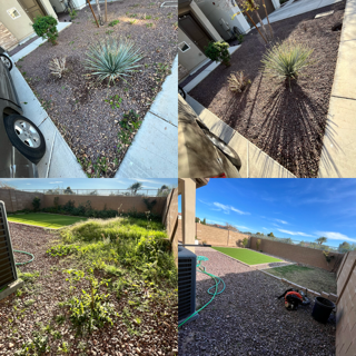 Weed removal and turf install