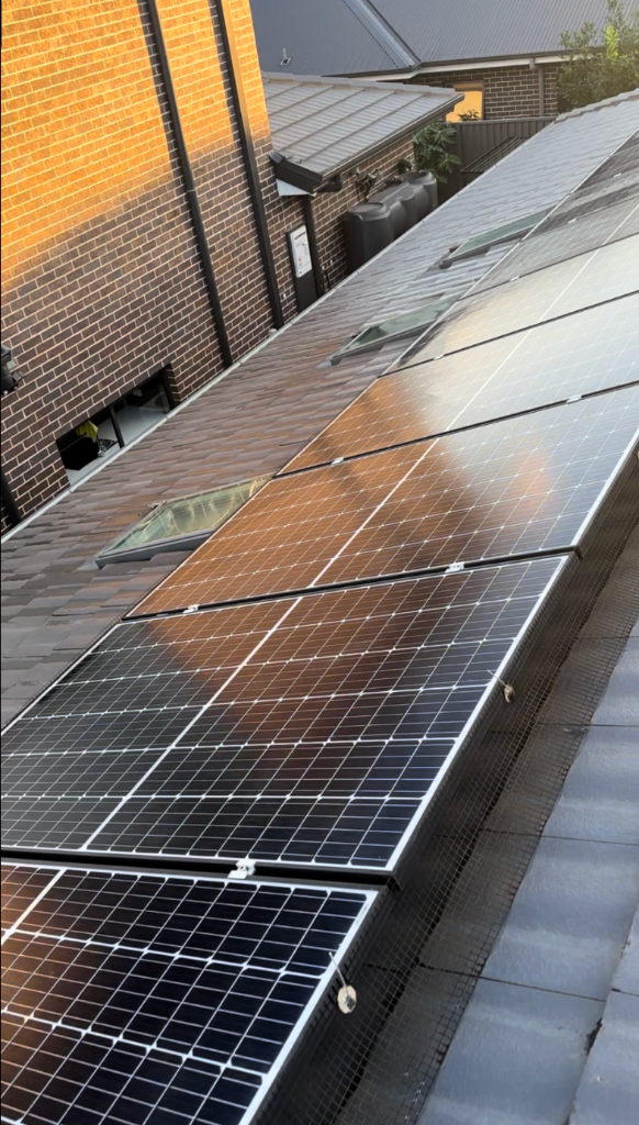 Solar Panel Cleaning
