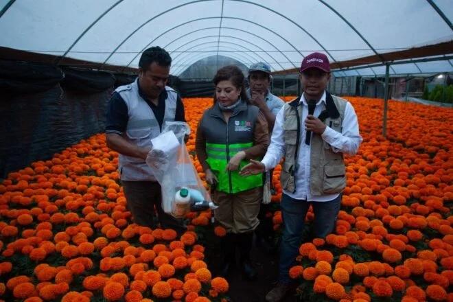 Entrega de kits agrícolas gubernamentales