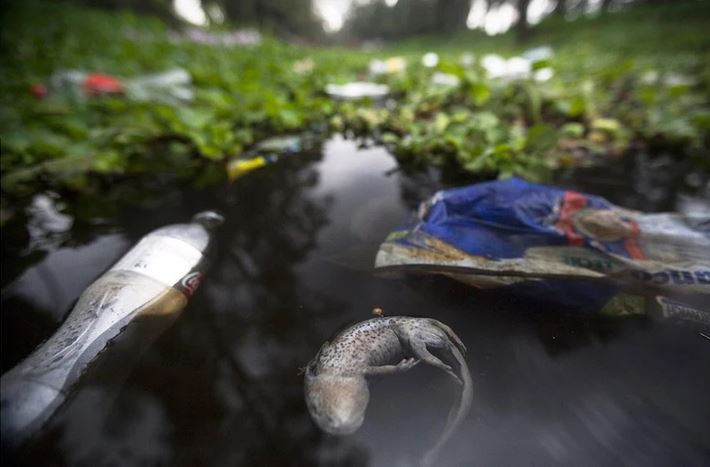 Crisis ambiental en Xochimilco