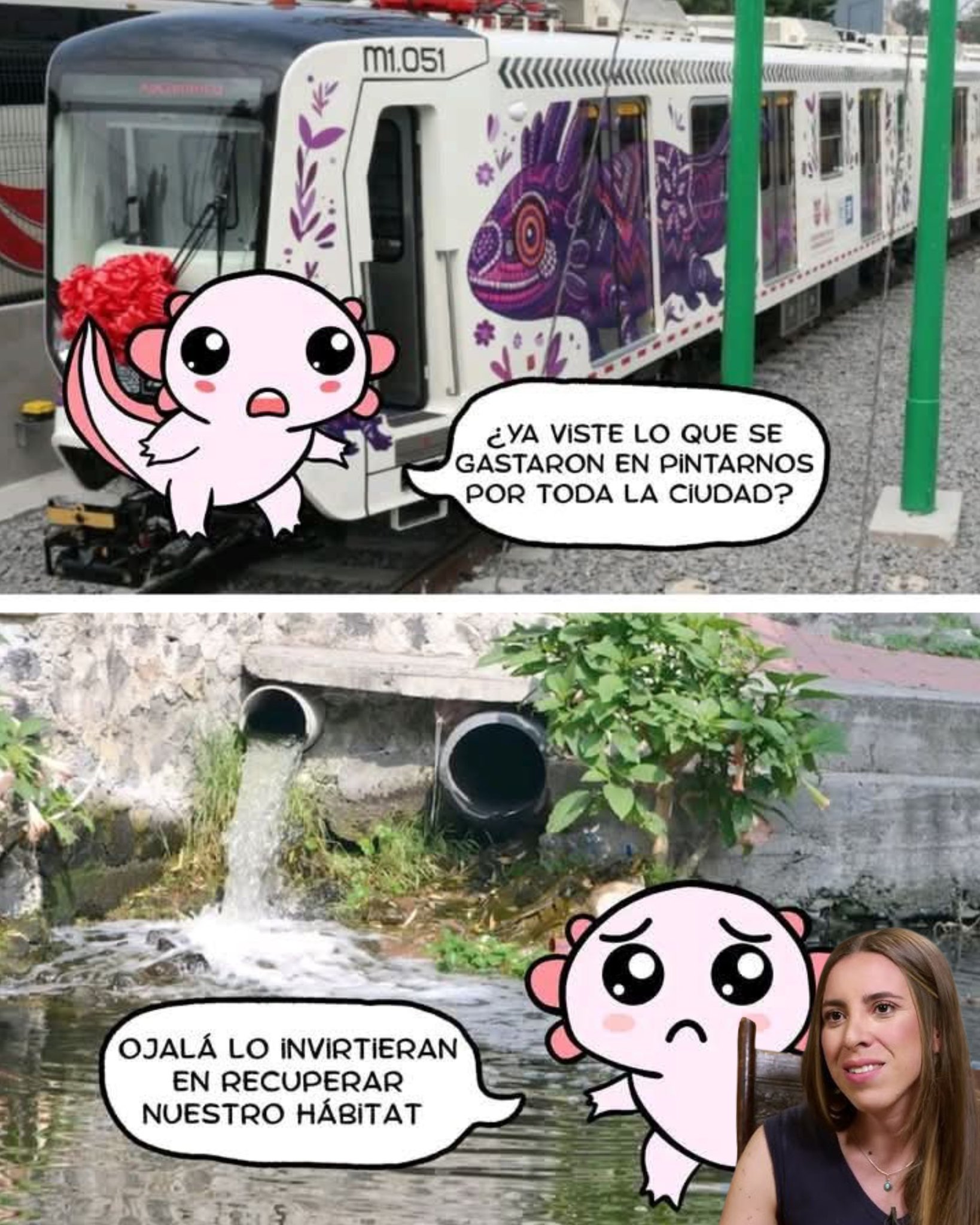 Contaminación permanente