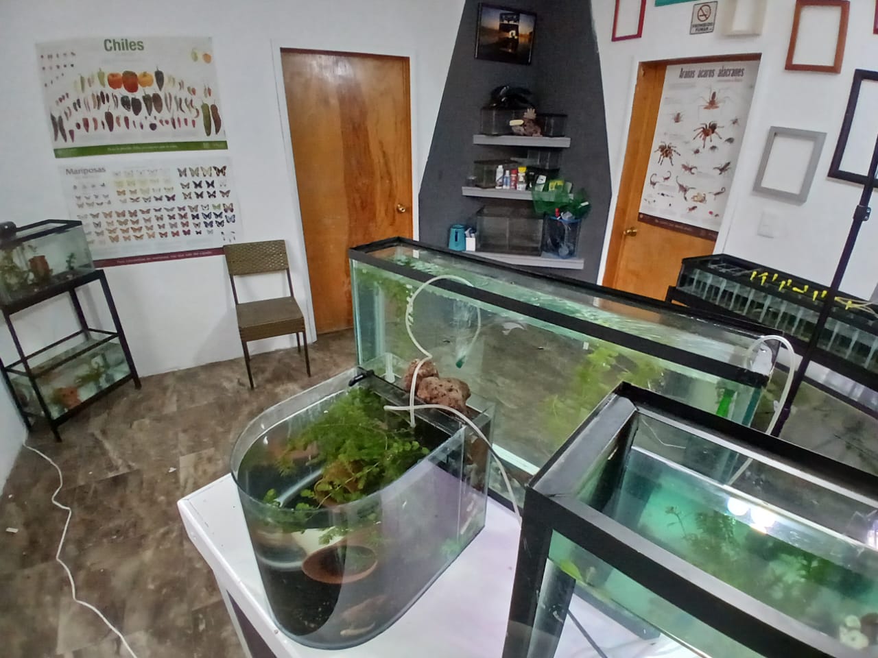 Research space with aquariums and conservation materials