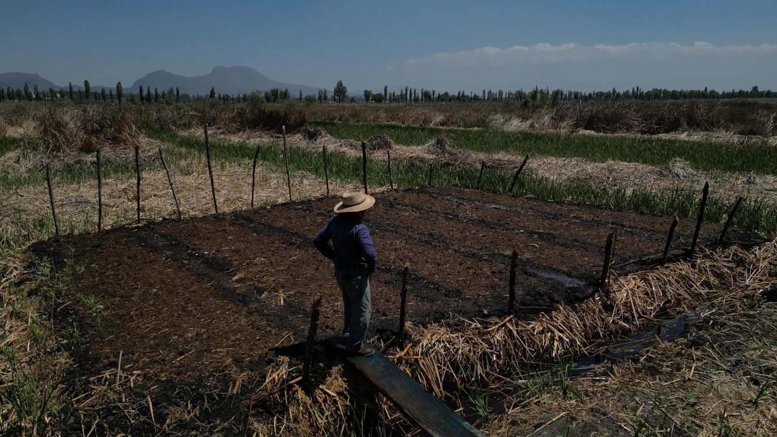 Rescate de Chinampas