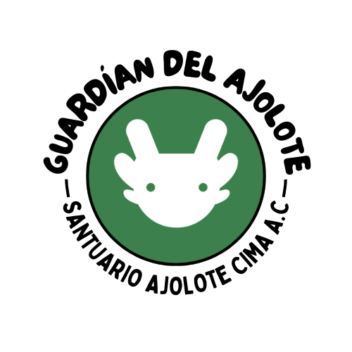 Guardian of the Axolotl Certificate