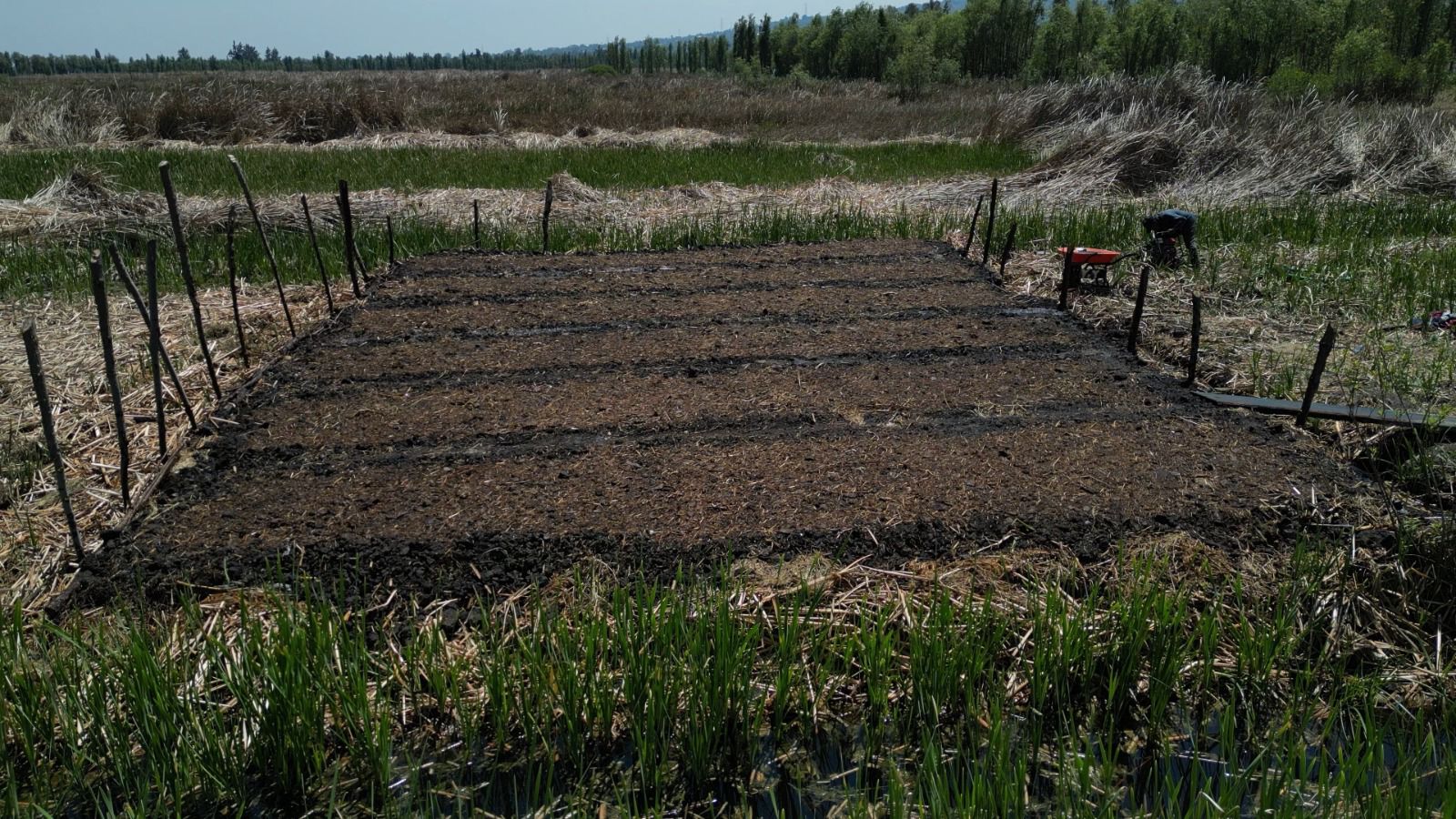 Prepared soil — habitat under recovery
