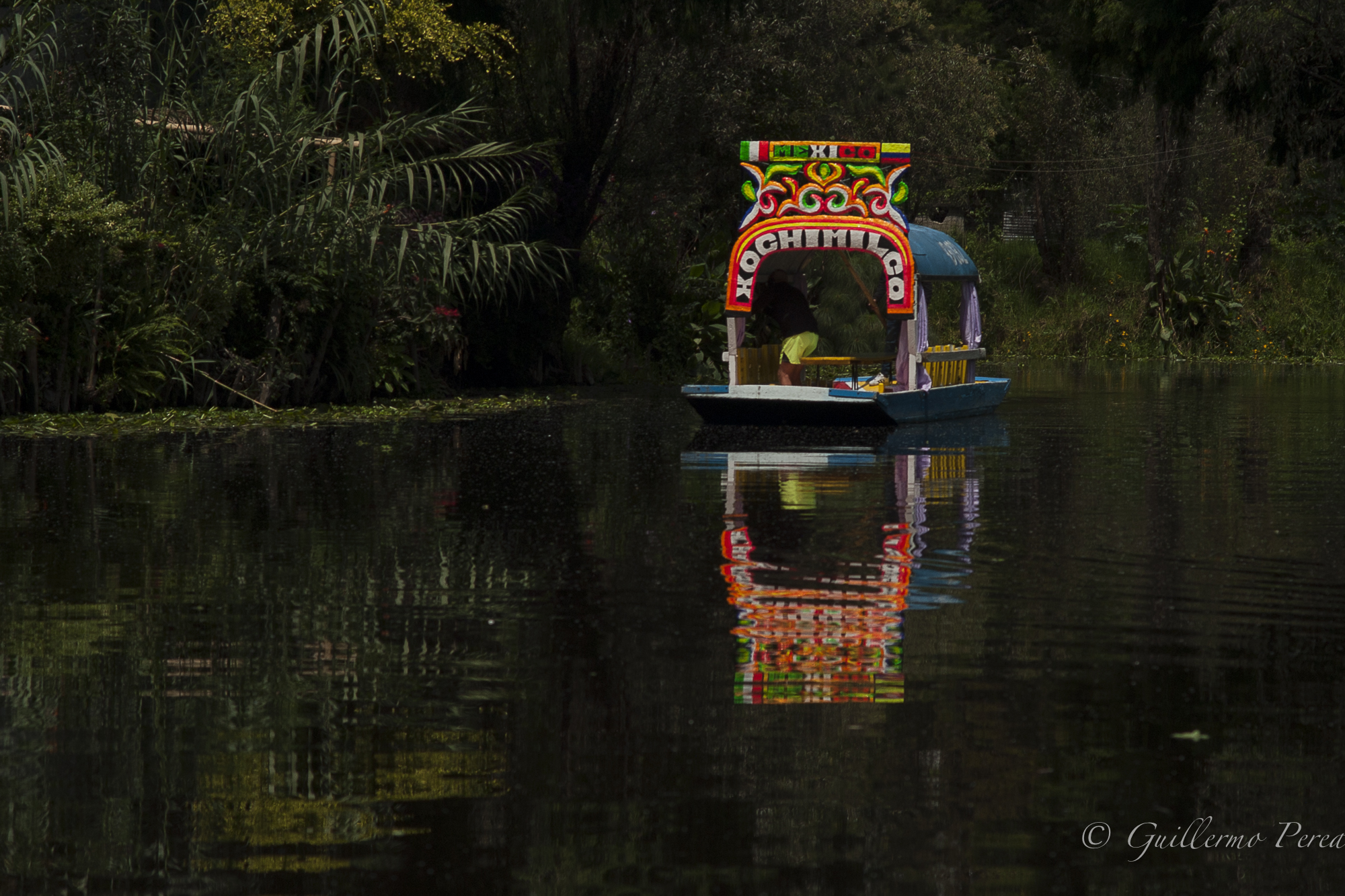 Journey Through the Axolotl Ecosystem