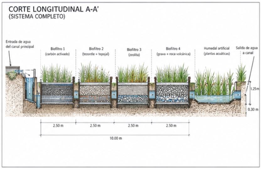 Longitudinal section A-A'