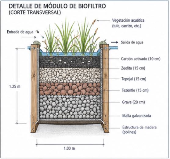 Module cross-section