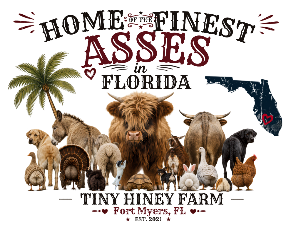Finest Asses in Florida