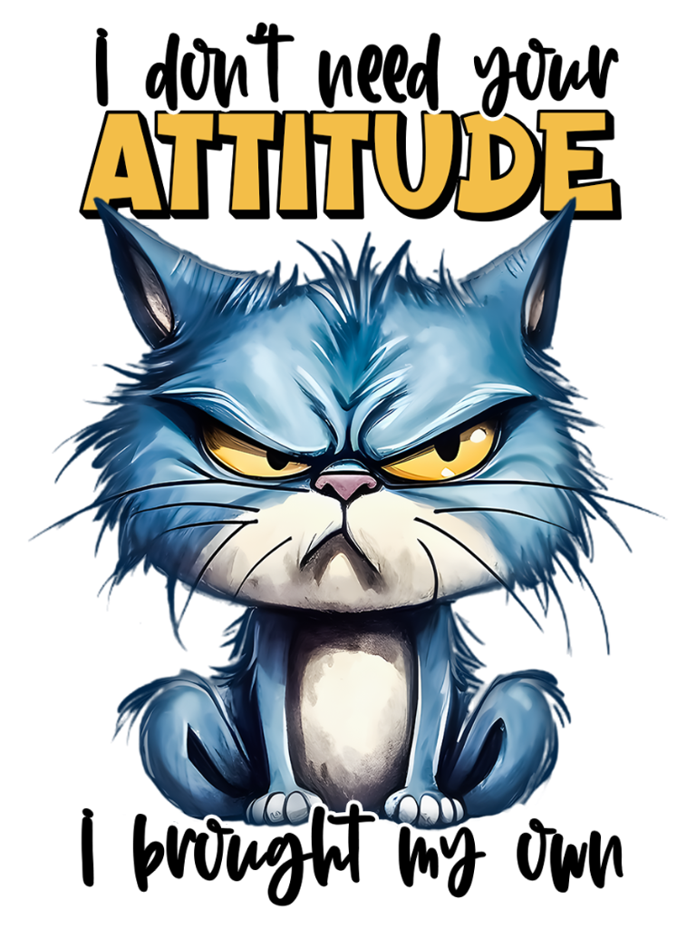 I Don't Need Your Attitude