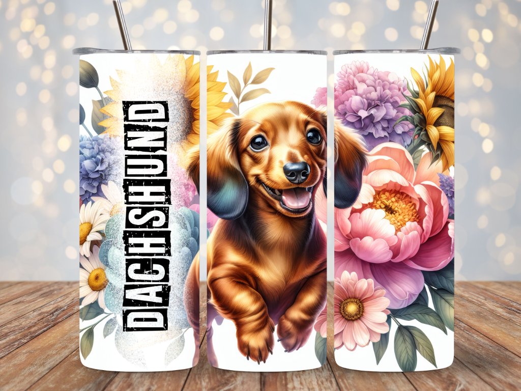 DACHSHUND
