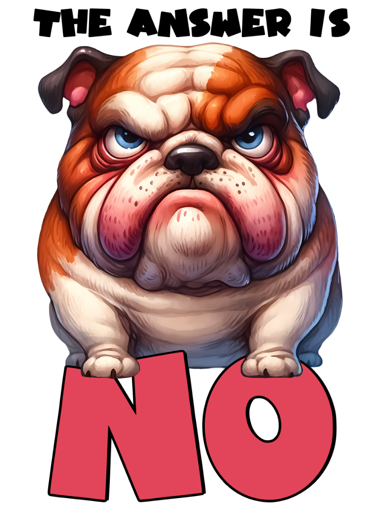 THE ANSHER IS NO