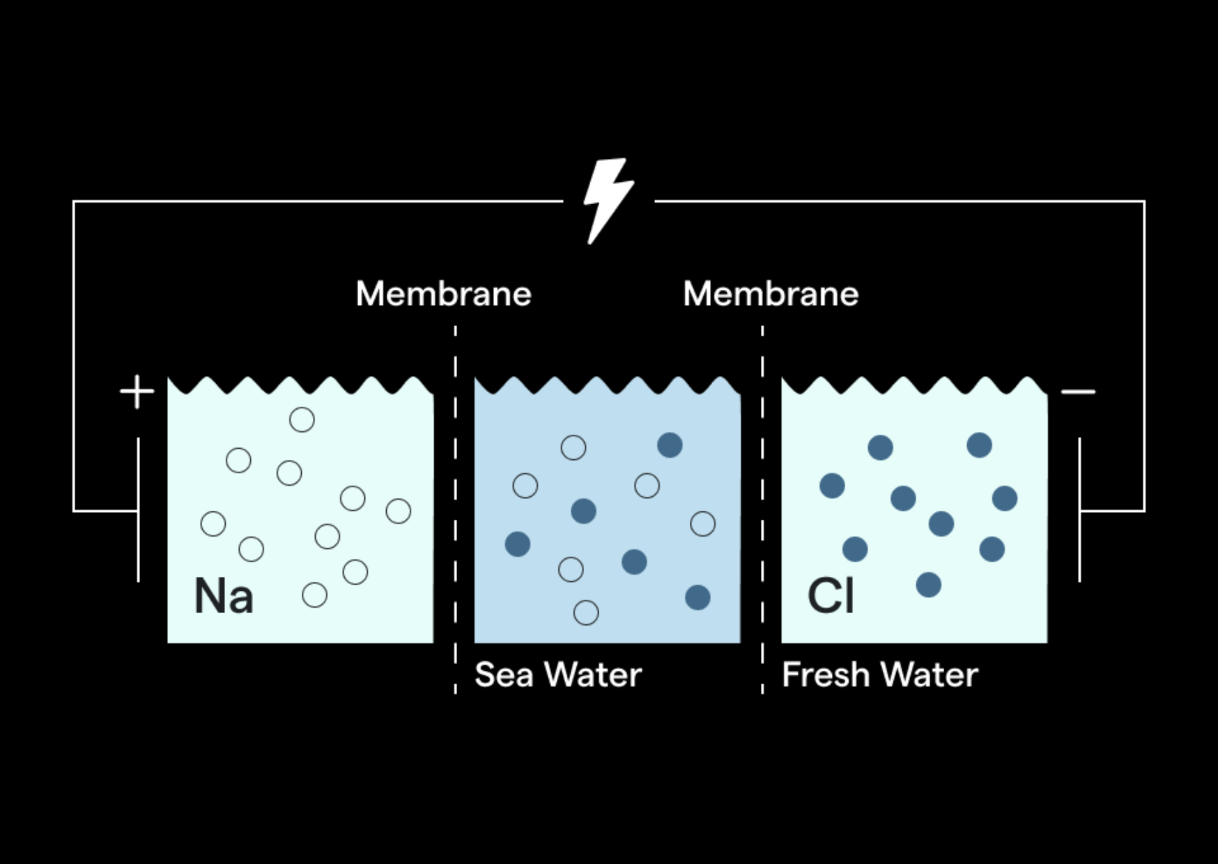 Membrane Diagram