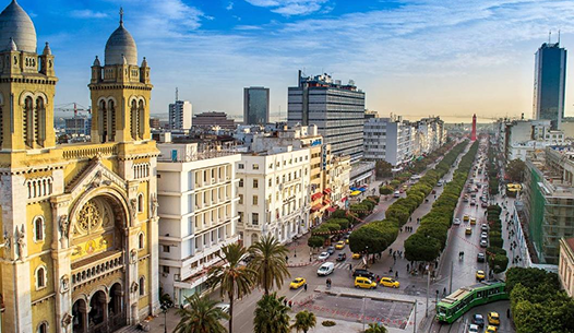 Tunisia, Tunis, Field photo Kernel