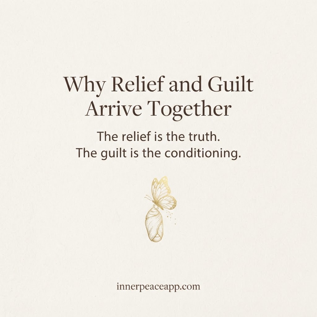Pinterest pin, cream background with a gold butterfly emerging from a cocoon illustration, about relief and guilt arriving together.
