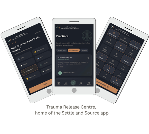 Settle and Source App Interface