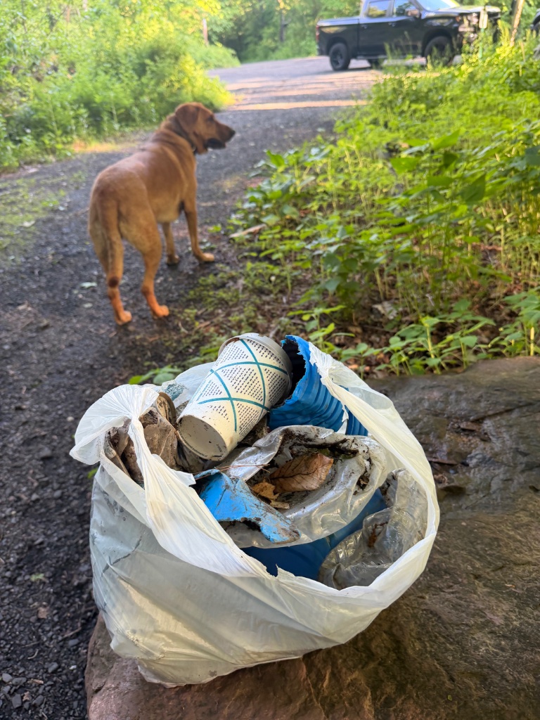 Dog walk cleanup haul