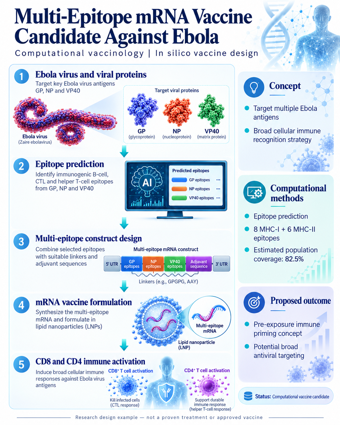 Ebola — Multi-Epitope mRNA Vaccine Candidate — scientific infographic