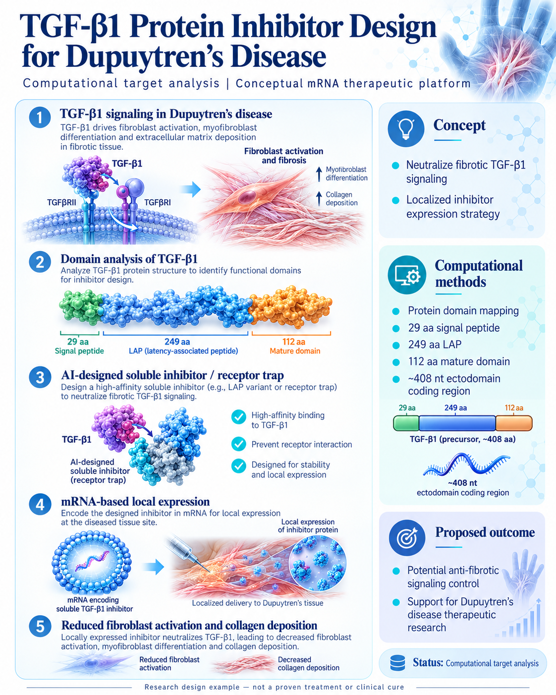 Dupuytren's Disease — TGF-β1 Protein Inhibitor Design — scientific infographic