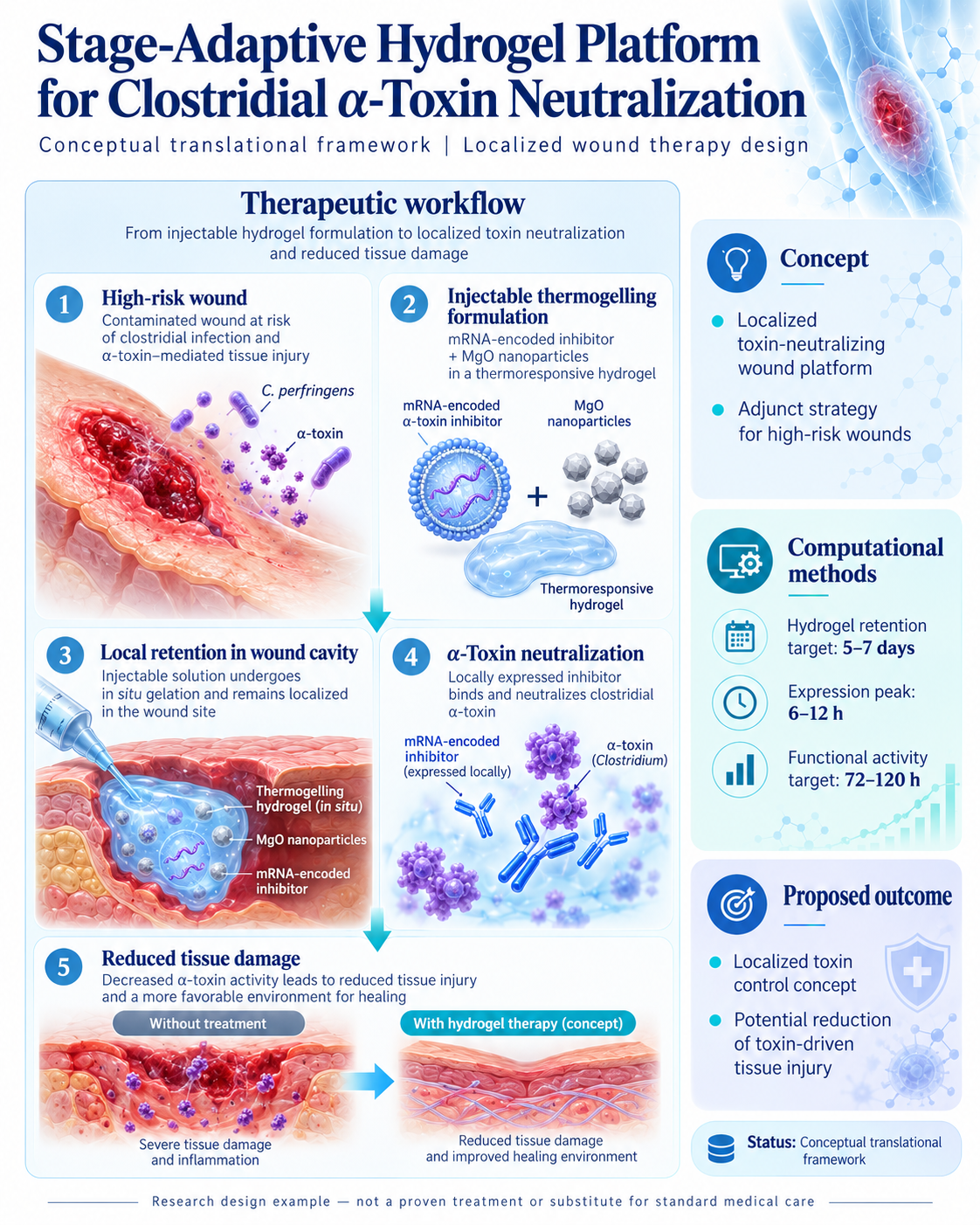 Clostridial α-Toxin — mRNA-Based Hydrogel Therapeutic Concept — scientific infographic