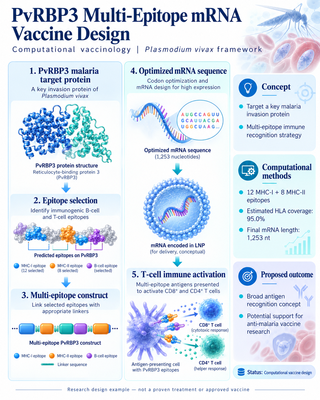 Malaria — PvRBP3 mRNA Vaccine Candidate — scientific infographic