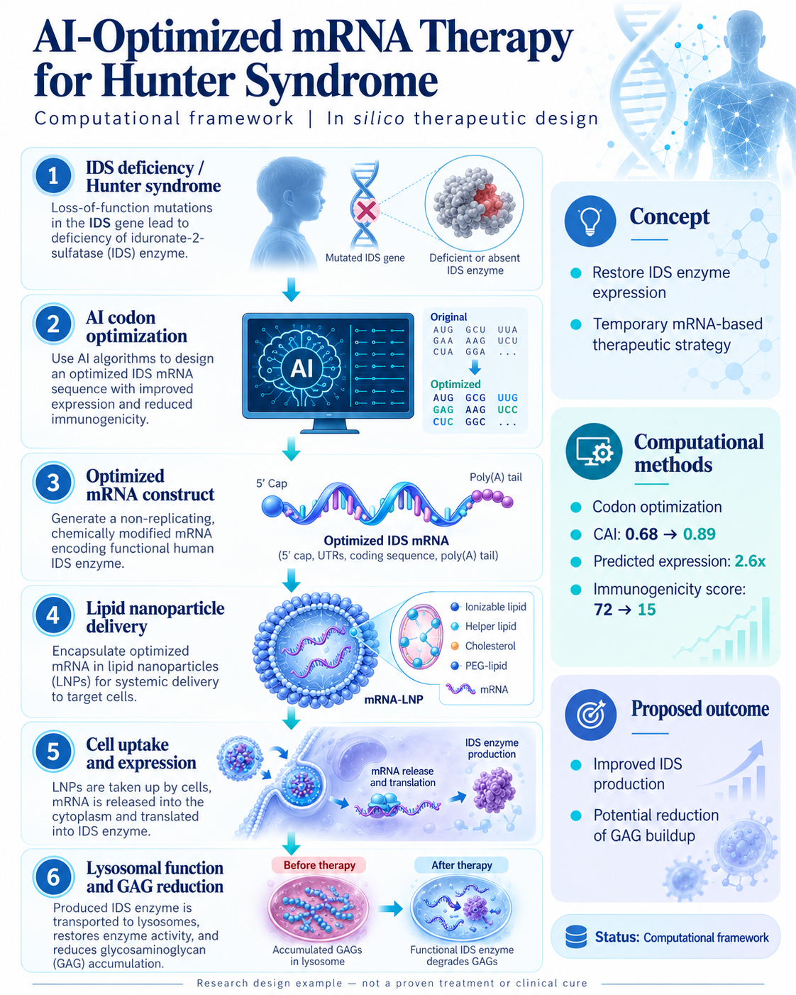 Hunter Syndrome — IDS mRNA Therapeutic Design — scientific infographic