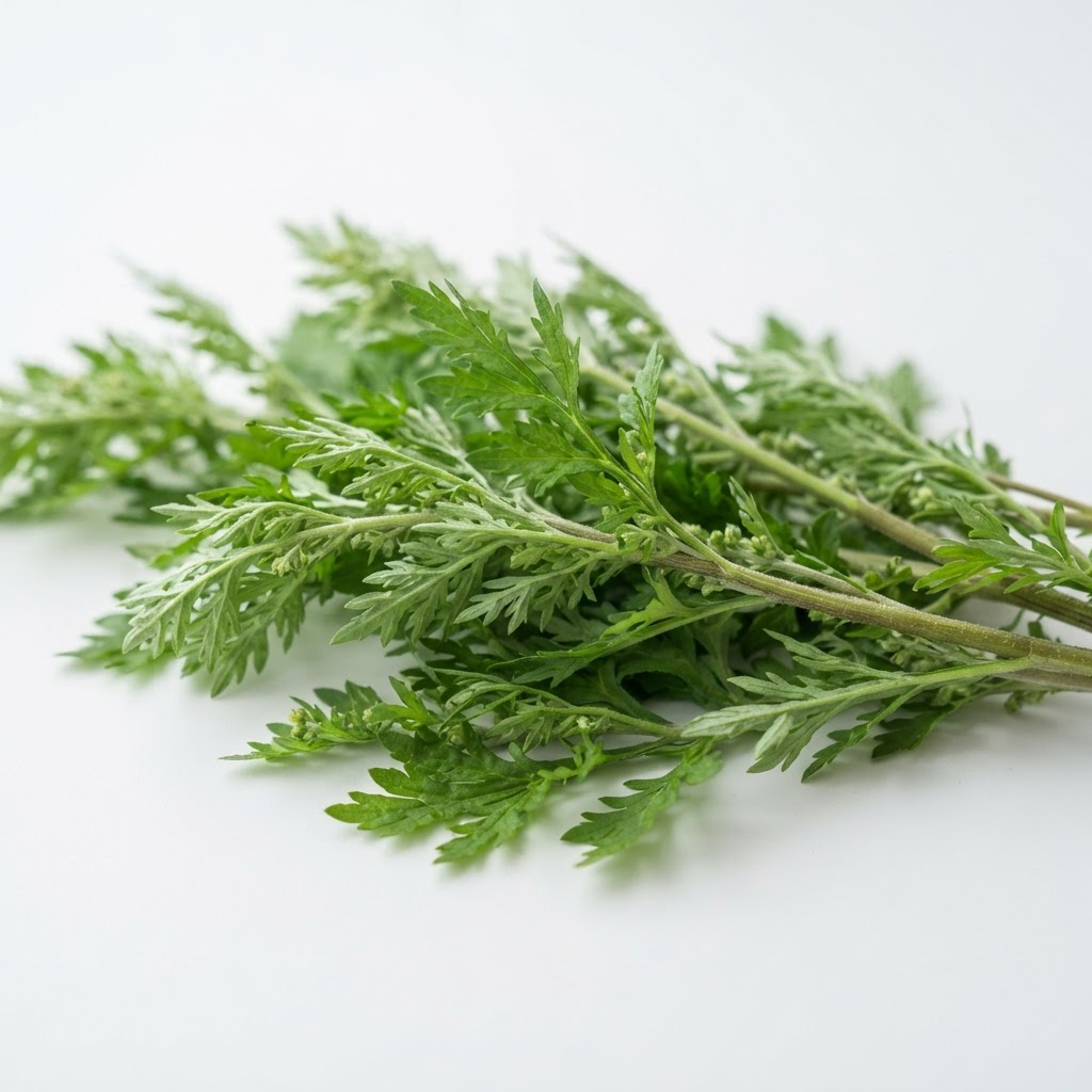 Artemisia : la plante médicinale aux vertus exceptionnelles